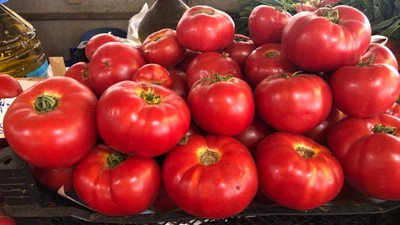 Bu Domatesin Tadı Başka!