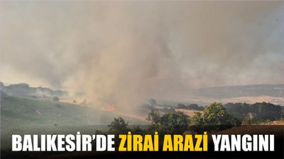 Balıkesir’de Zirai Arazi Yangını: Susurluk ve Bigadiç’te Ekipler Seferber Oldu