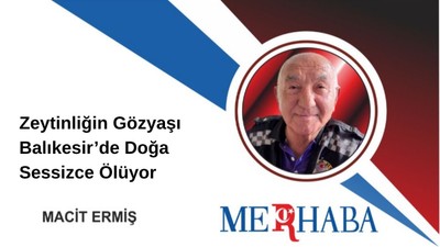 Zeytinliğin Gözyaşı