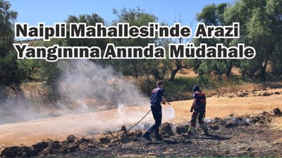 Naipli Mahallesi'nde Arazi Yangını