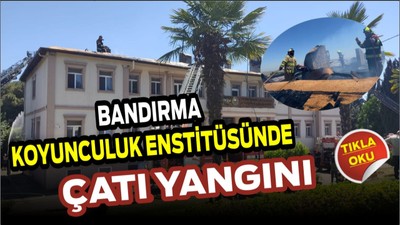 Bandırma’da Koyunculuk Araştırma Enstitüsünde Çatı Yandı