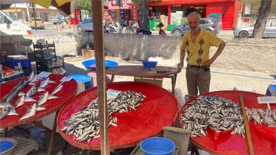 Burhaniye’de Güncel Balık Fiyatları 8 Temmuz