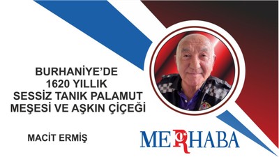 Burhaniye’de 1620 Yıllık Sessiz Tanık Palamut Meşesi ve Aşkın Çiçeği