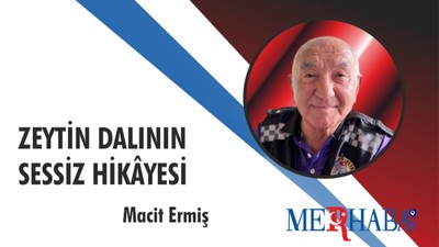 Zeytin Dalının Sessiz Hikâyesi