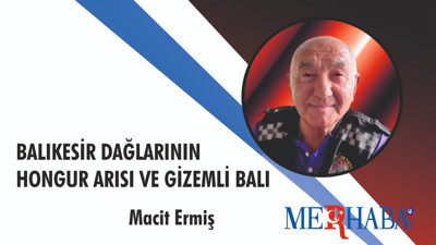 Balıkesir Dağlarının Hongur Arısı ve Gizemli Balı