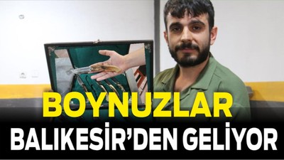 Balıkesir’den Çıkan Boynuz, Sivas’ta Bıçak Oldu