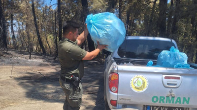 Balıkesir Orman Bölge Müdürlüğü’nden Yangınlara Karşı Etkin Mücadele
