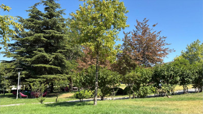 Atatürk Parkı Sessizliğe Büründü: Nedeni Sıcaklar mı?