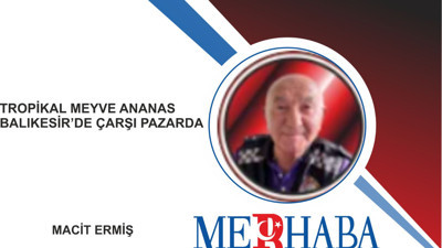 Balıkesir'de tropikal mucize Ananas
