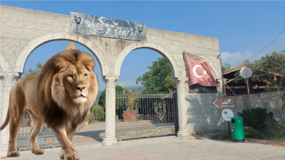 Balıkesir’de Hayvanat Bahçesi Var mı? Nerede, Nasıl Gidilir?