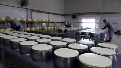 Balıkesir Dahil Süt Sektörüne Büyük Soruşturma!