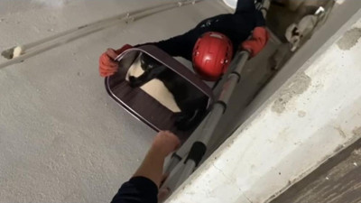 Balıkesir’de 5. Kattan Düşen Kedi Kurtarıldı