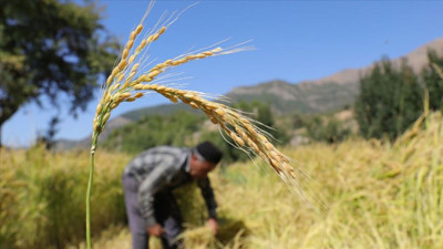 Gönen’de Çiftçi İsyanı: Parası Peşin Ödenen Su Neden Gelmiyor?