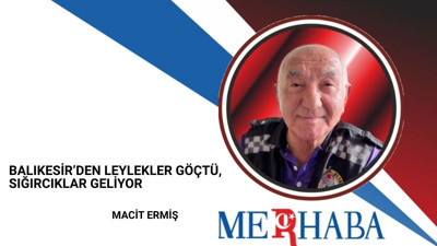 Balıkesir’den Leylekler Göçtü, Sığırcıklar Geliyor