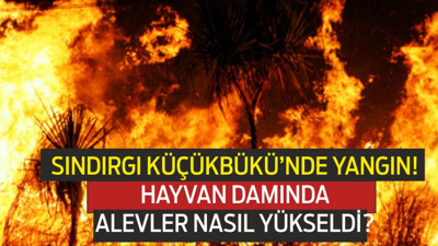 Sındırgı Küçükbükü Mahallesi’nde Hayvan Damında Çıkan Yangına Ekipler Müdahale Etti