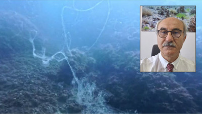 Marmara Denizi'nde yeni müsilaj alarmı