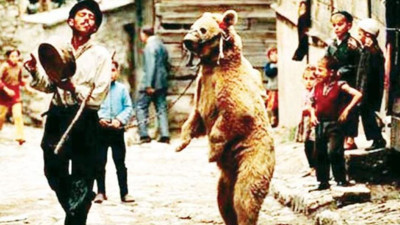 Türkiye’de Ayı Oynatma Geleneği Tarihe Karıştı