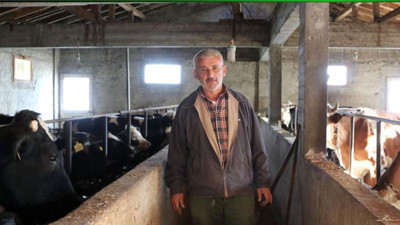 Eski hükümlü İŞKUR hibesiyle aldığı 5 inekle hayatında yeni bir sayfa açtı