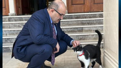 Vali Ustaoğlu Hayvan Haklarını Unutmadı