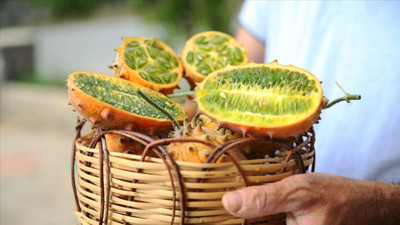 “Yeni Trend: Boynuzlu Kavun”