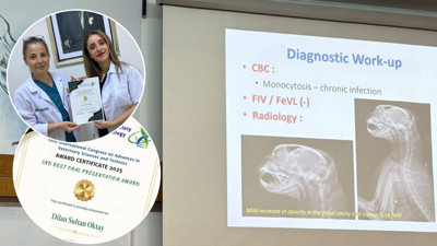 BAÜN’de Bir İlk: Dünyada 6 Vakadan Birini Sunarak Ödül Aldı!