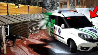 Balıkesir'de Köpeklere Vurdu Ceza!