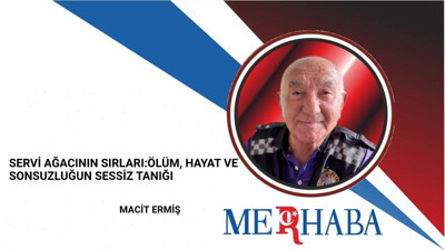 Servi Ağacının Sırları: Ölüm, Hayat ve Sonsuzluğun Sessiz Tanığı