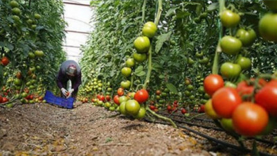 Meyve Fiyatlarında Büyük Sıçrama