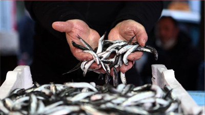 Trabzon'da hamsinin kilogramı 75 liradan satılıyor