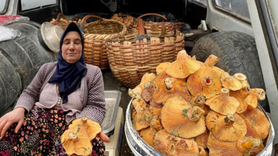 Bigadiç’te Dağ Köylerinde Kanlıca Bereketi