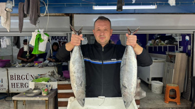Bandırma Balık Hali'nde sezon hareketliliği başladı