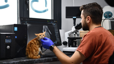 Balıkesir'de Hayvan Sahiplendirmek İsteyenler Dikkat!