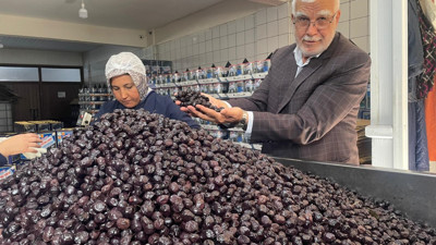 Her 6 sofralık zeytinden birini Balıkesir üretecek