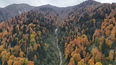 Rize'de Ayder Yaylası'nda sonbahar renkleri