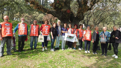 Balıkesir’de palamutlar fidan oluyor