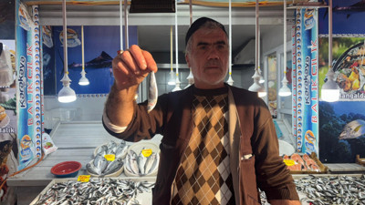 Soğuk Hava Balığı, Sıcak Hava Zorlukları Getirir – Balık Sezonu Bereketli Geçecek