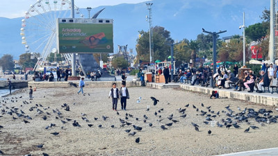 Akçay’da Kuşların Dansı Büyüledi