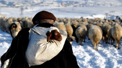 SEGE-2025 Sonuçları: Balıkesir Yaşam Kalitesinde Kaçıncı Sırada?