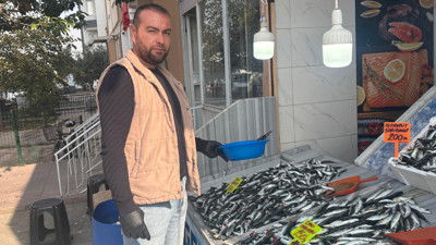 Balıkesir'de Kasımda Sardalya, Aralıkta Hamsi Bol