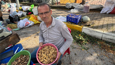 Balıkesir Cevizde Zor Yılını Yaşıyor