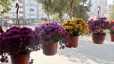 Balıkesir’de 10 Kasım Öncesi Kasımpatı Satışları Arttı