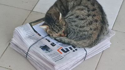 Edremit'te Soğuk Günün, En Sıcak Kareleri