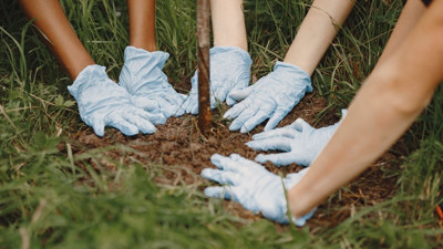 Balıkesir’de Fidan Dikim Etkinlikleri Ertelendi