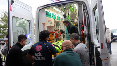 Mantar toplarken ayının saldırısına uğrayan imam yaralandı