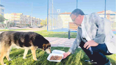 Altıeylül’de Hayvan Bakımevi Açılıyor