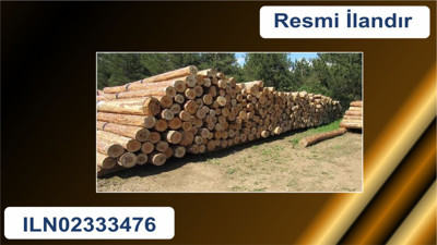 Orman Emvali İstifleme Hizmet İhalesi