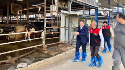 Balıkesir’de Şap Aşılaması Başladı