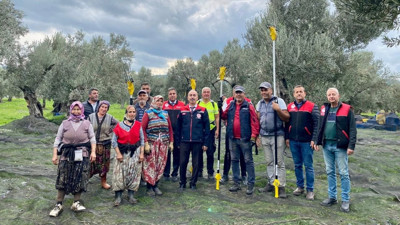 Havran’da Zeytin Hasadı Devam Ediyor