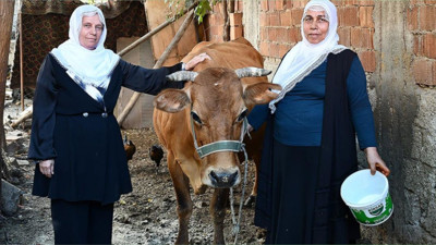Karadeniz’de Kadın ve İneğin Kültürel Bağı