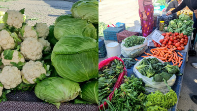 Edremit’te Kış Sebzeleri Pazarlarda